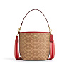 Сумка Coach ведро (Gold/Tan Multi)
